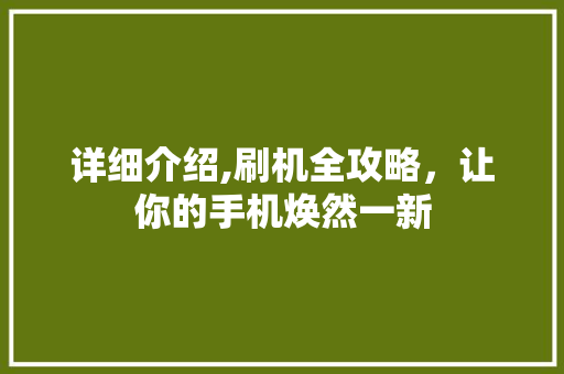 详细介绍,刷机全攻略，让你的手机焕然一新 电脑基础
