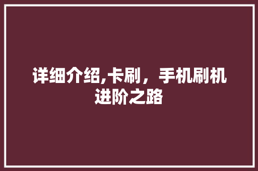 详细介绍,卡刷，手机刷机进阶之路 网络技术