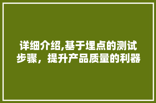 详细介绍,基于埋点的测试步骤，提升产品质量的利器