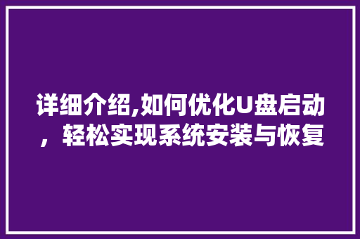 详细介绍,如何优化U盘启动，轻松实现系统安装与恢复 电脑故障维修