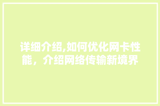 详细介绍,如何优化网卡性能，介绍网络传输新境界 网络技术
