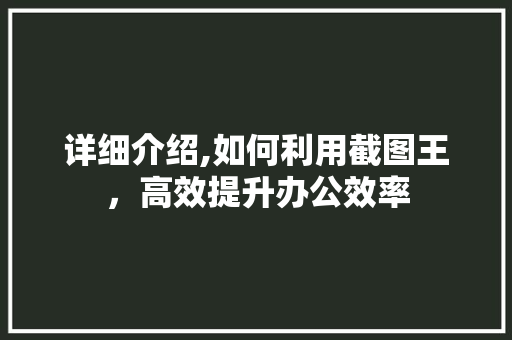 详细介绍,如何利用截图王,高效提升办公效率 操作系统 详细介绍,如何利用截图王,高效提升办公效率 操作系统