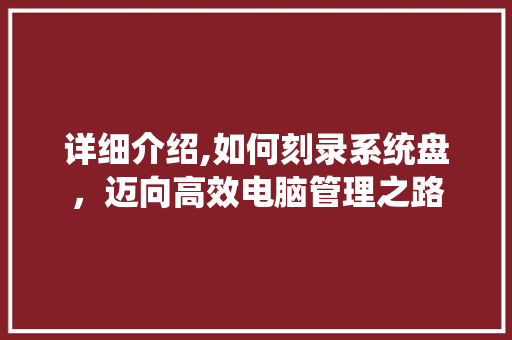 详细介绍,如何刻录系统盘，迈向高效电脑管理之路 网络技术