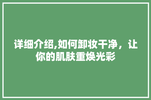 详细介绍,如何卸妆干净，让你的肌肤重焕光彩 网络技术