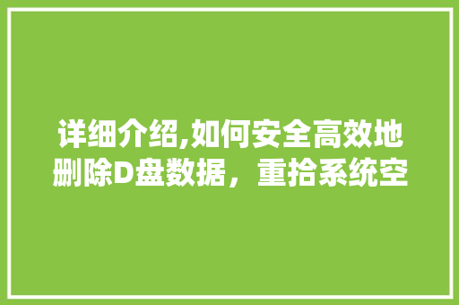 详细介绍,如何安全高效地删除D盘数据，重拾系统空间 电脑故障维修
