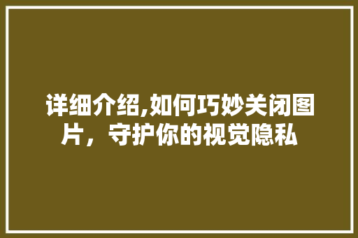 详细介绍,如何巧妙关闭图片,守护你的视觉隐私 网络技术 详细介绍,如何巧妙关闭图片,守护你的视觉隐私 网络技术