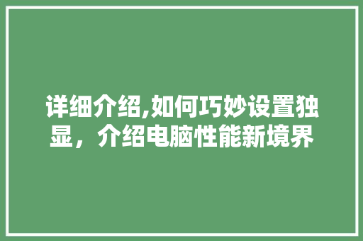 详细介绍,如何巧妙设置独显，介绍电脑性能新境界 电脑配置