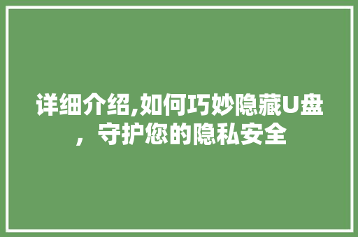 详细介绍,如何巧妙隐藏U盘，守护您的隐私安全