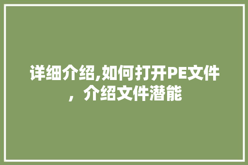 详细介绍,如何打开PE文件，介绍文件潜能