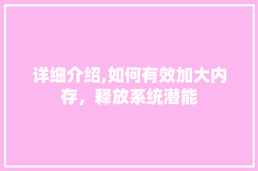 详细介绍,如何有效加大内存，释放系统潜能