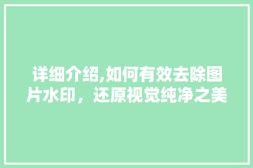 详细介绍,如何有效去除图片水印，还原视觉纯净之美 操作系统