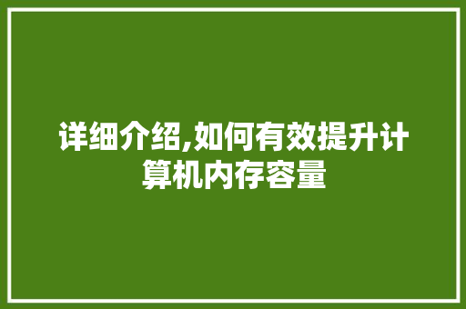 详细介绍,如何有效提升计算机内存容量