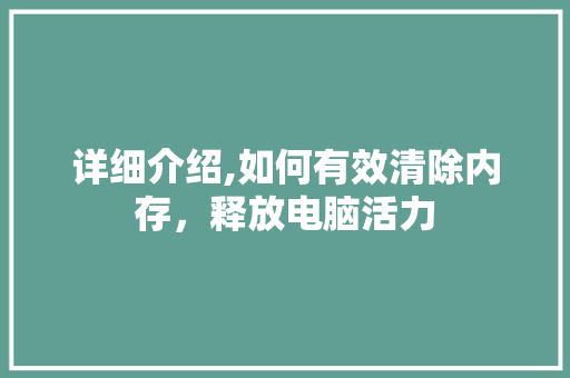 详细介绍,如何有效清除内存，释放电脑活力