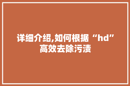 详细介绍,如何根据“hd”高效去除污渍