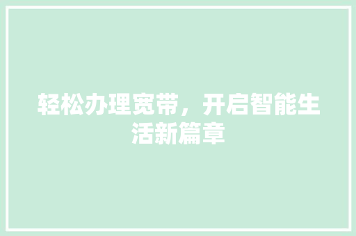 轻松办理宽带，开启智能生活新篇章 编程语言