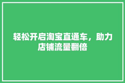 轻松开启淘宝直通车，助力店铺流量翻倍 电脑基础