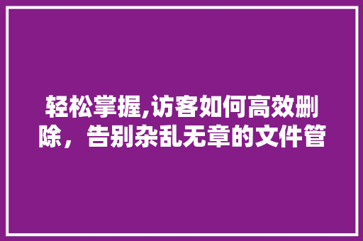 轻松掌握,访客如何高效删除，告别杂乱无章的文件管理