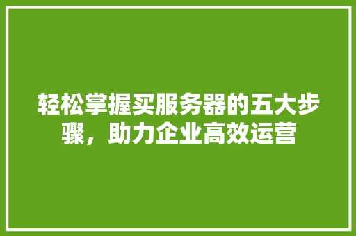 轻松掌握买服务器的五大步骤，助力企业高效运营