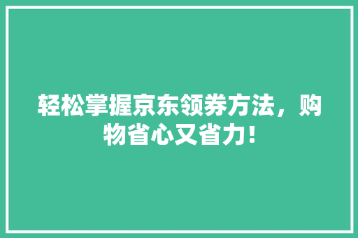 轻松掌握京东领券方法，购物省心又省力！ 电脑故障维修