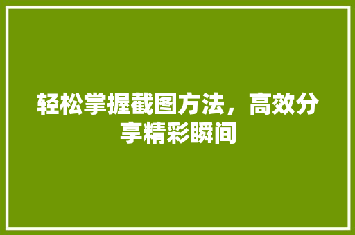 轻松掌握截图方法，高效分享精彩瞬间 网络技术