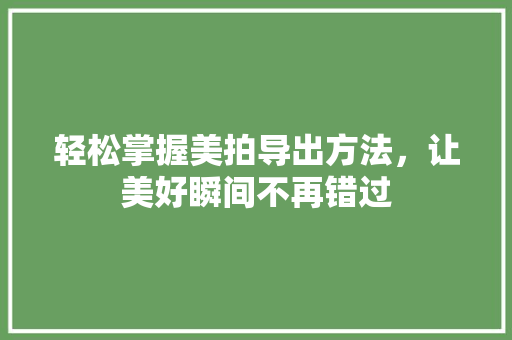 轻松掌握美拍导出方法，让美好瞬间不再错过 操作系统