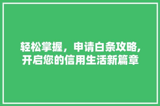 轻松掌握，申请白条攻略,开启您的信用生活新篇章