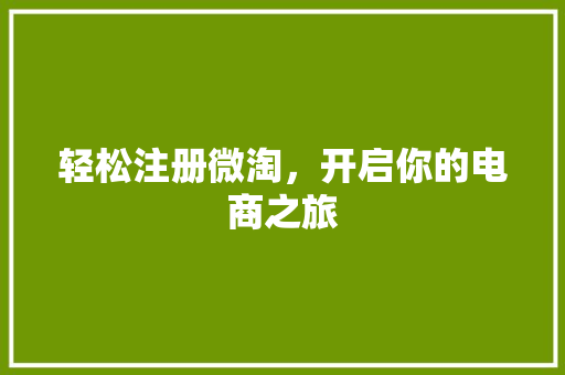 轻松注册微淘，开启你的电商之旅