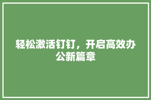 轻松激活钉钉，开启高效办公新篇章