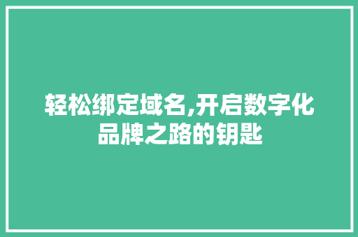 轻松绑定域名,开启数字化品牌之路的钥匙