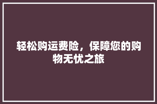 轻松购运费险，保障您的购物无忧之旅
