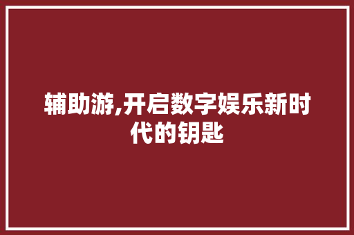 辅助游,开启数字娱乐新时代的钥匙