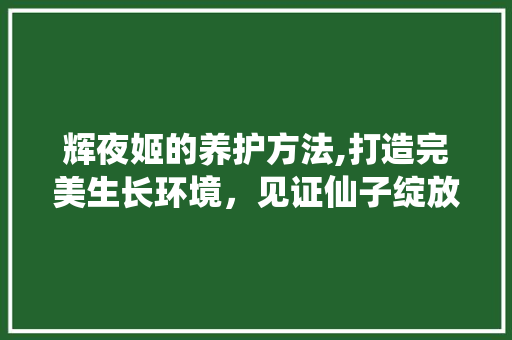 辉夜姬的养护方法,打造完美生长环境,见证仙子绽放 电脑基础 辉夜姬的养护方法,打造完美生长环境,见证仙子绽放 电脑基础