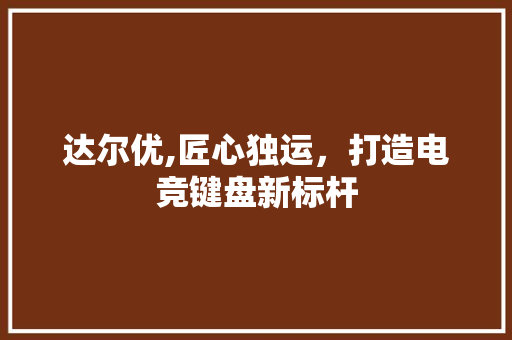 达尔优,匠心独运,打造电竞键盘新标杆 达尔优,匠心独运,打造电竞键盘新标杆