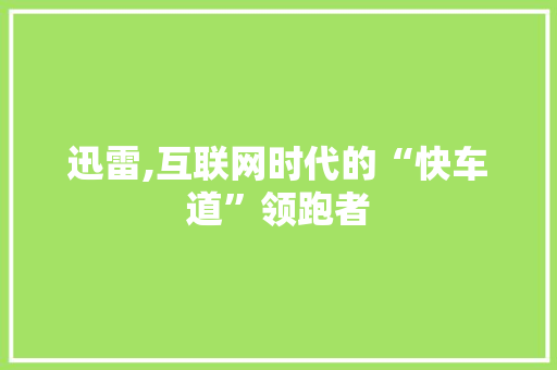 迅雷,互联网时代的“快车道”领跑者 编程语言