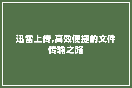 迅雷上传,高效便捷的文件传输之路 电脑配置