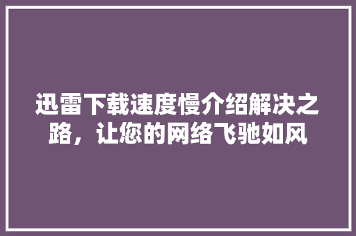 迅雷下载速度慢介绍解决之路，让您的网络飞驰如风 操作系统