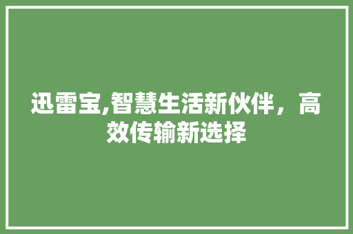 迅雷宝,智慧生活新伙伴，高效传输新选择 电脑配置