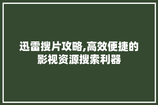 迅雷搜片攻略,高效便捷的影视资源搜索利器