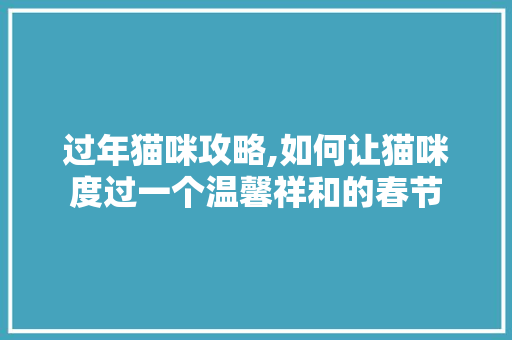 过年猫咪攻略,如何让猫咪度过一个温馨祥和的春节