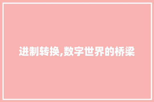 进制转换,数字世界的桥梁 操作系统