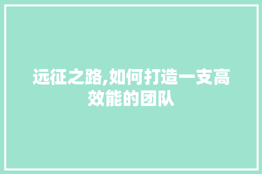 远征之路,如何打造一支高效能的团队
