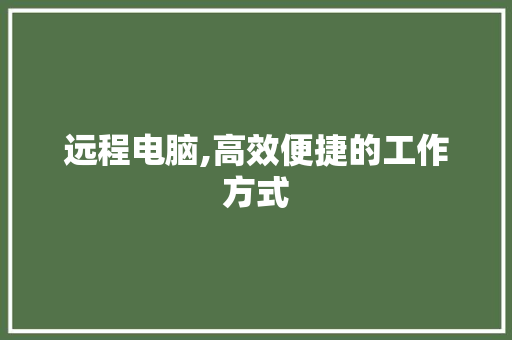 远程电脑,高效便捷的工作方式