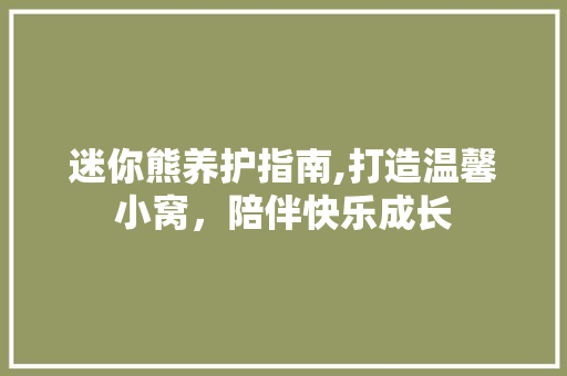 迷你熊养护指南,打造温馨小窝，陪伴快乐成长 电脑基础