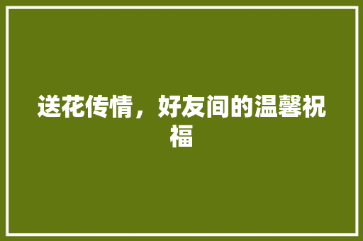 送花传情，好友间的温馨祝福 网络技术
