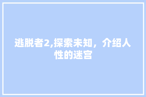 逃脱者2,探索未知，介绍人性的迷宫 编程语言