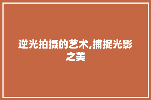 逆光拍摄的艺术,捕捉光影之美