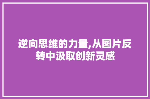逆向思维的力量,从图片反转中汲取创新灵感