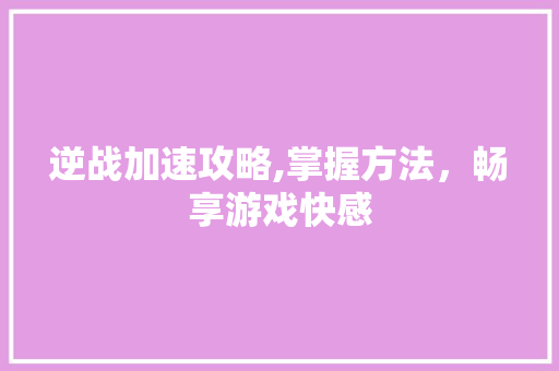 逆战加速攻略,掌握方法，畅享游戏快感