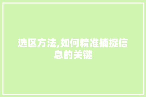 选区方法,如何精准捕捉信息的关键 操作系统