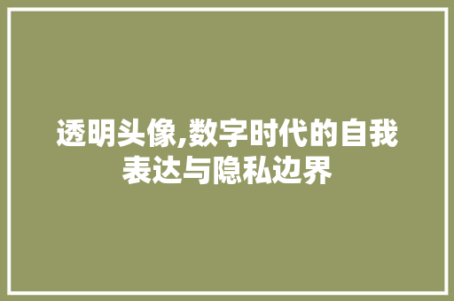 透明头像,数字时代的自我表达与隐私边界